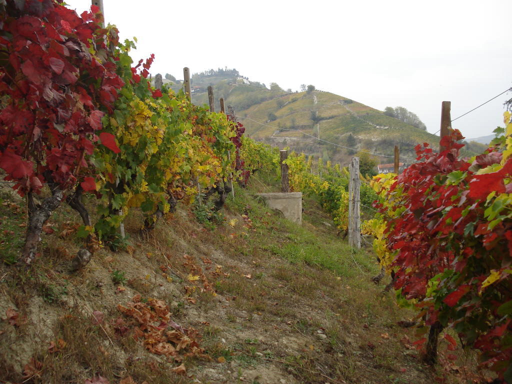 Agriturismo Cascina L'Arche Santo Stefano Belbo Eksteriør bilde