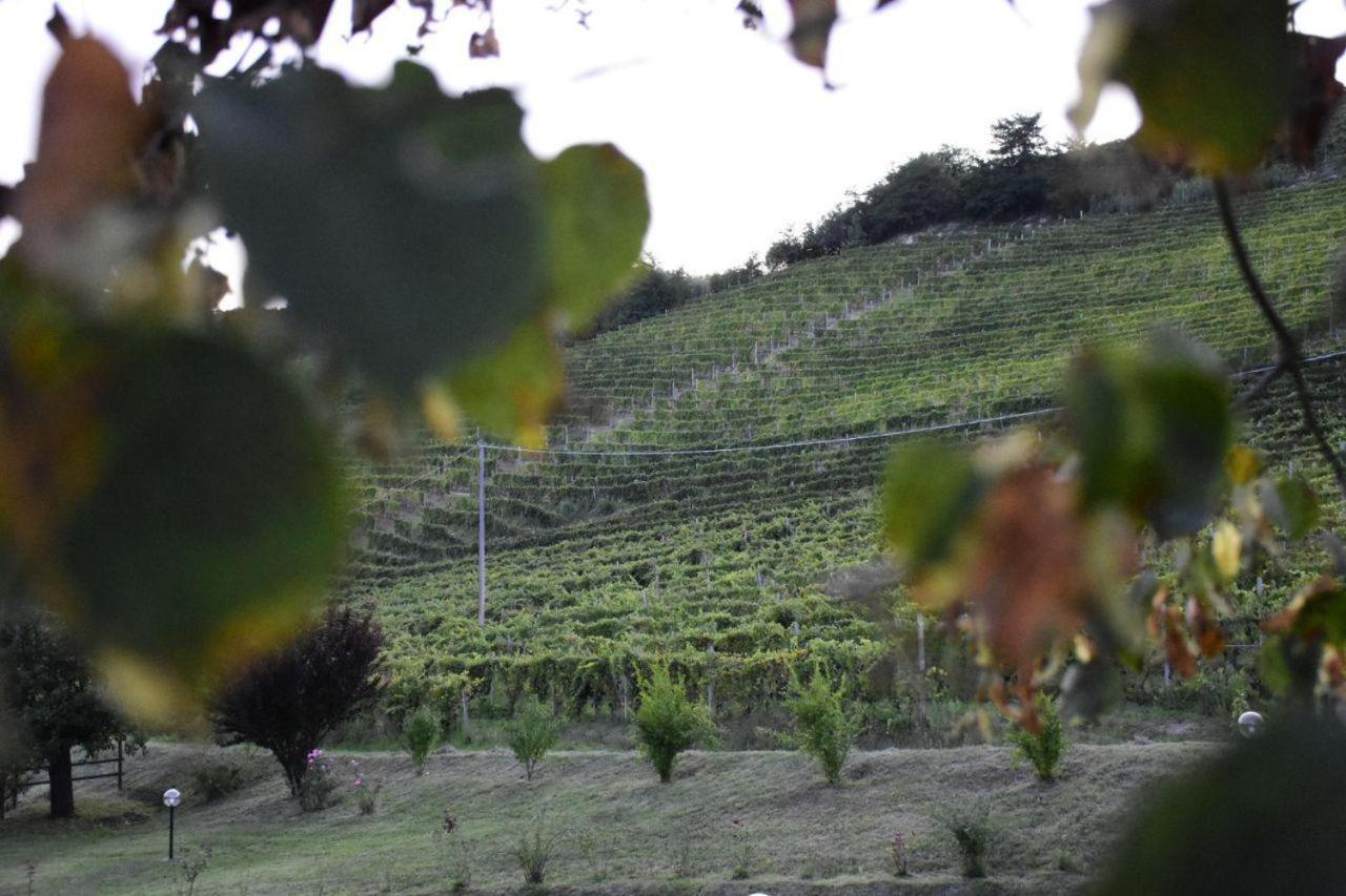 Agriturismo Cascina L'Arche Santo Stefano Belbo Eksteriør bilde